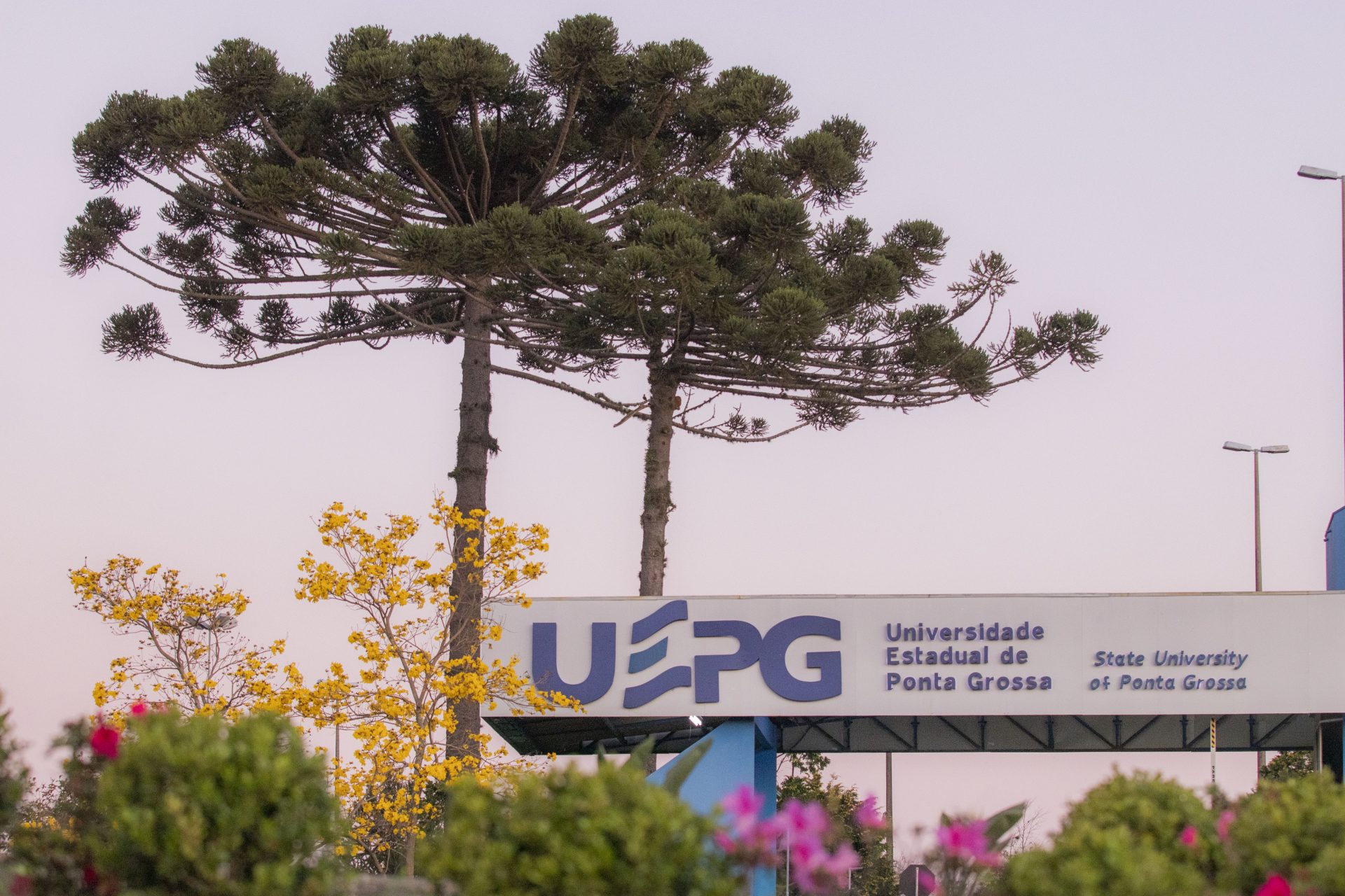 UEPG está entre as 50 melhores do Brasil no Ranking QS Latam 2024