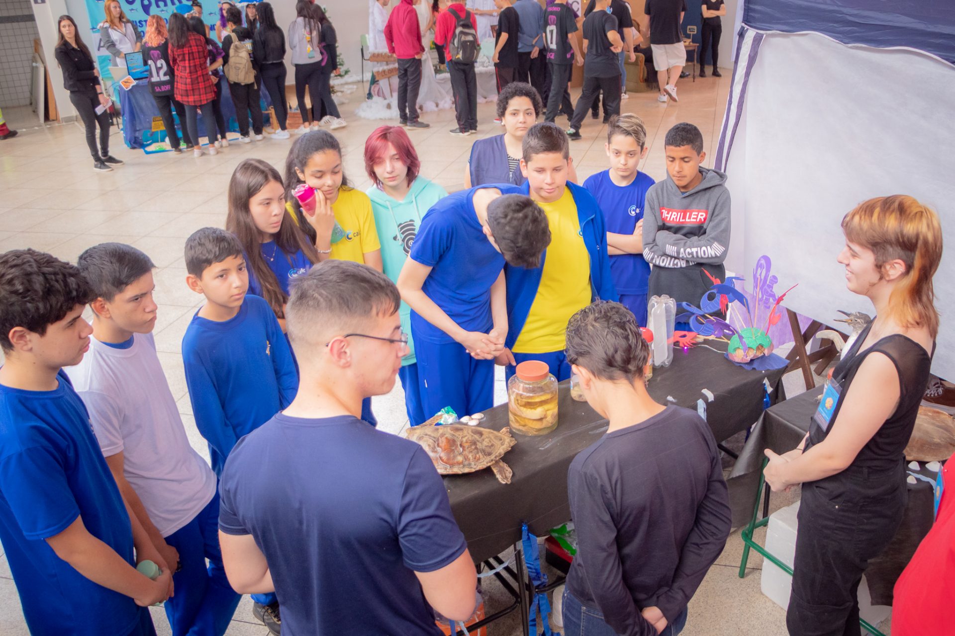 15ª Mostra de Laboratórios de Ensino de Biologia recebe cerca de 450 estudantes