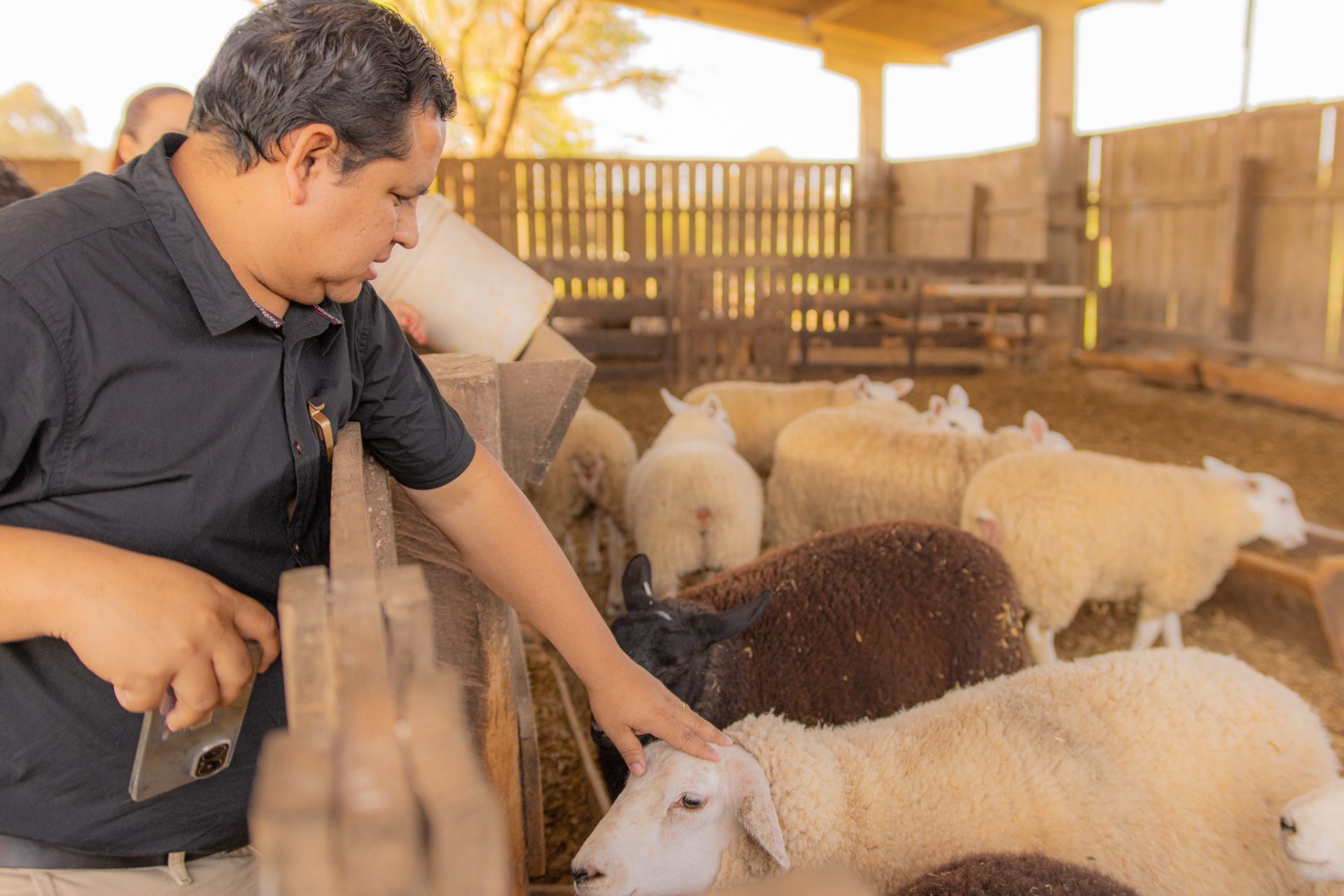 Nutead-UEPG abre inscrições para curso de ética na pesquisa com animais