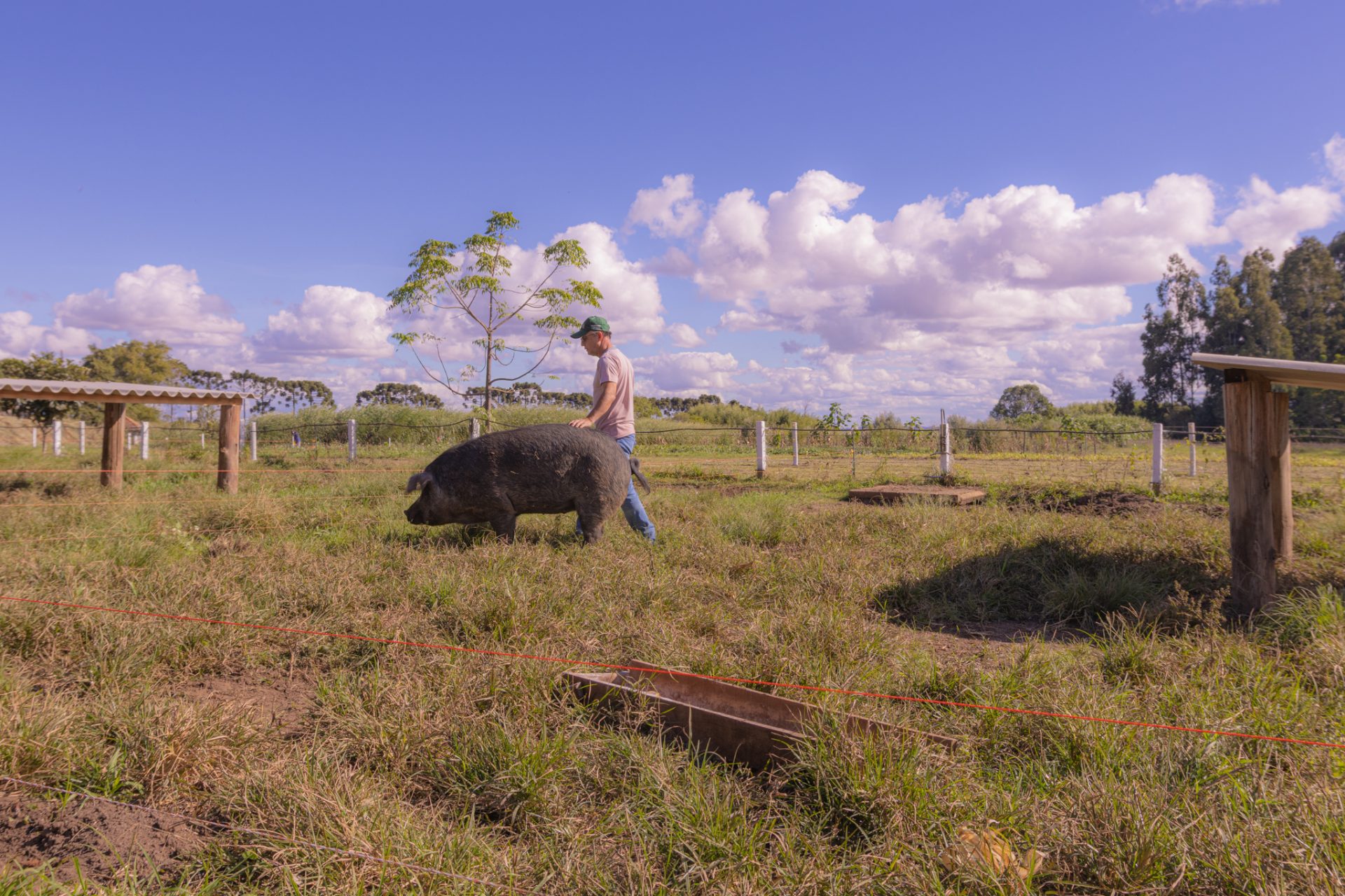 Foto: Reprodução/UEPG