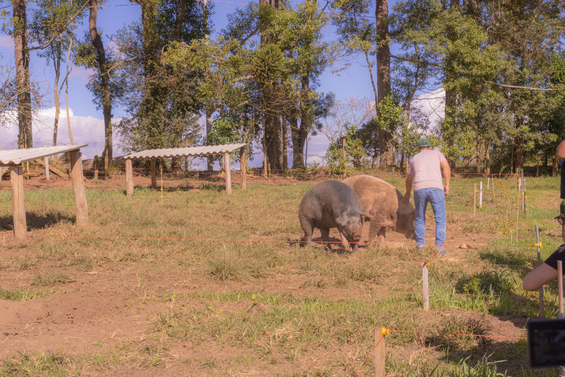 Foto: Reprodução/UEPG