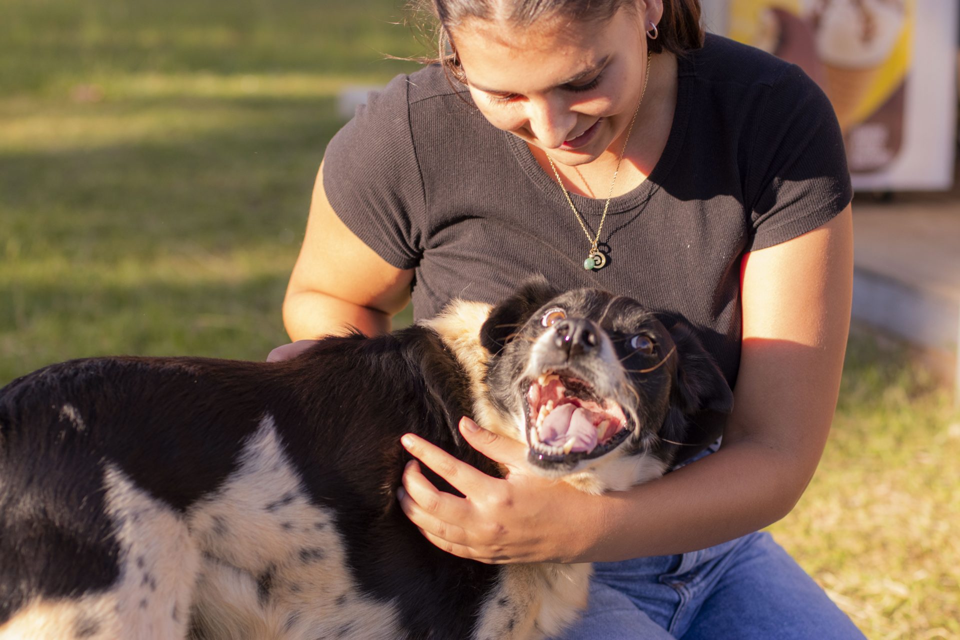 Quem ama não abandona: UEPG lança campanha de conscientização pelo direito dos animais