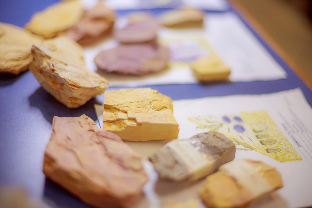 Foto: Reprodução/UEPG