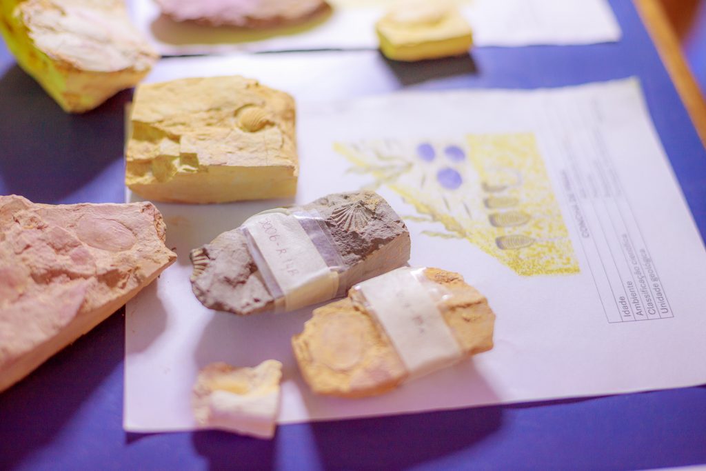 Foto: Reprodução/UEPG