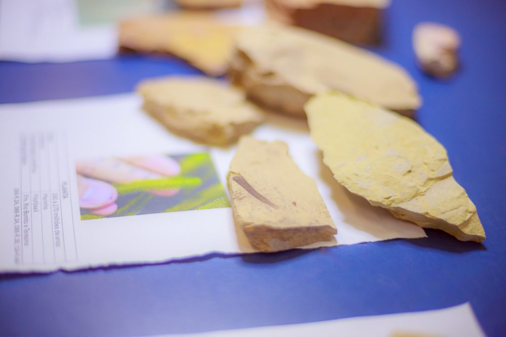 Foto: Reprodução/UEPG