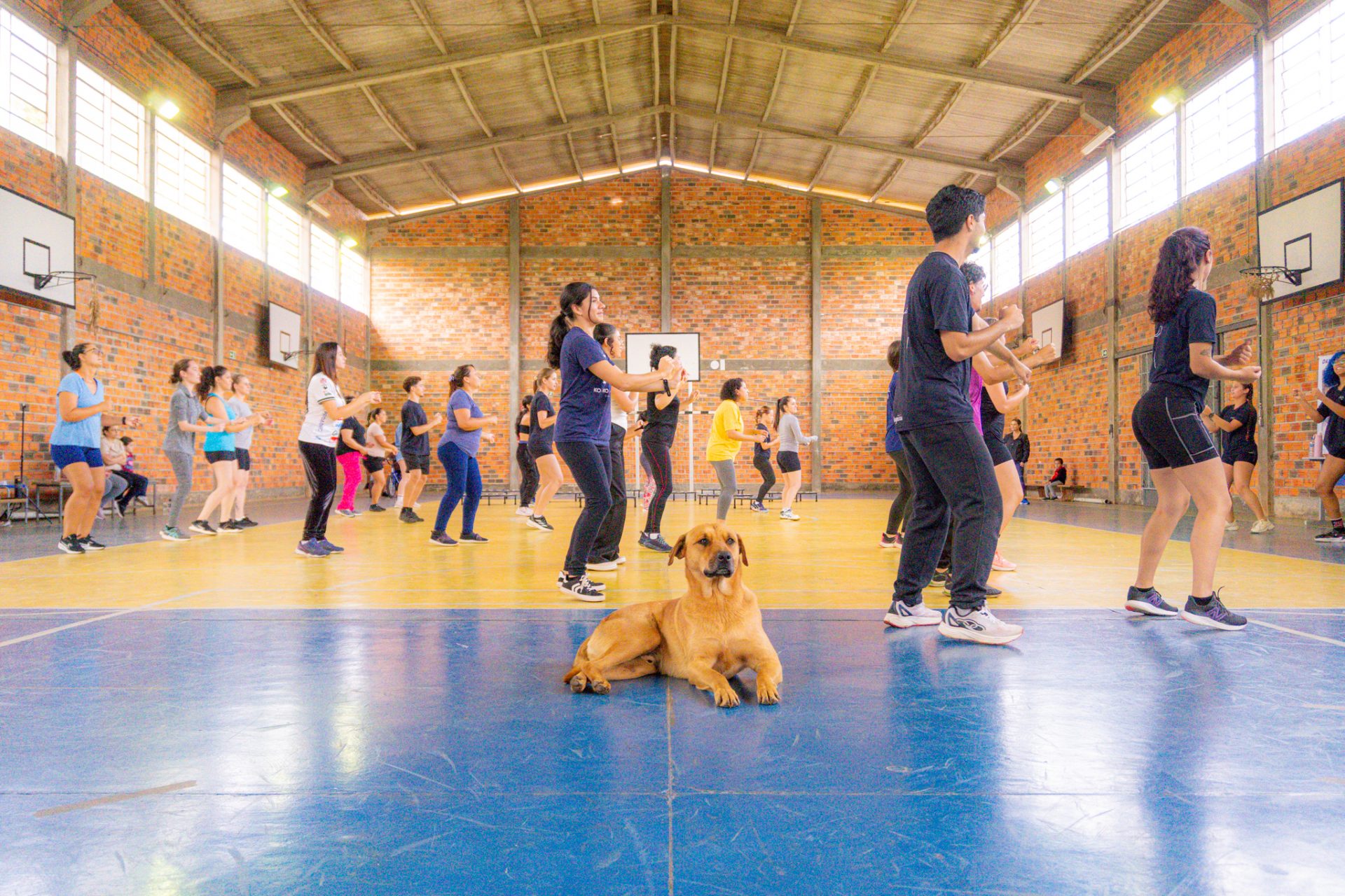 Foto: Reprodução/UEPG