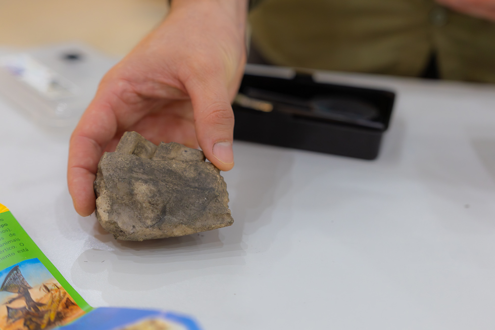 Foto: Reprodução/UEPG