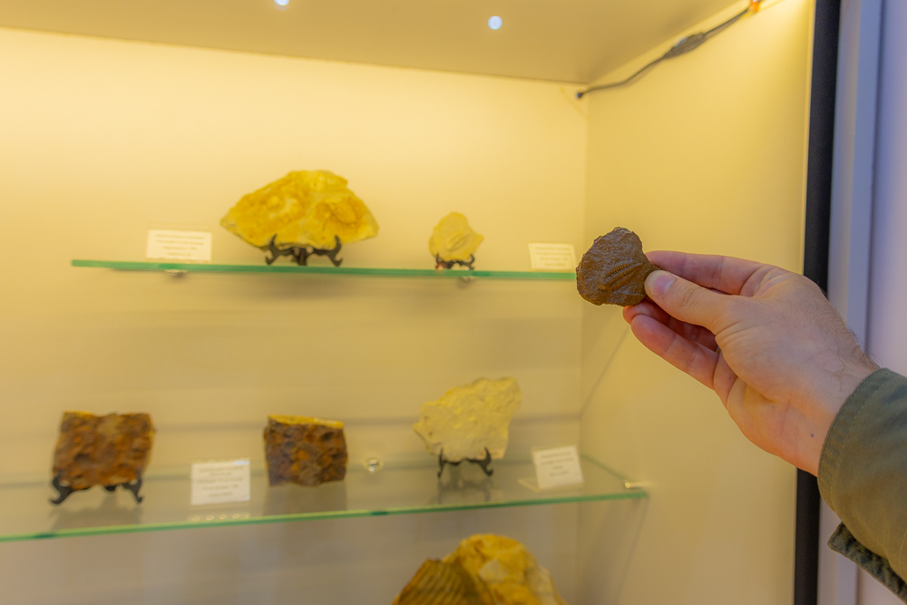 Foto: Reprodução/UEPG