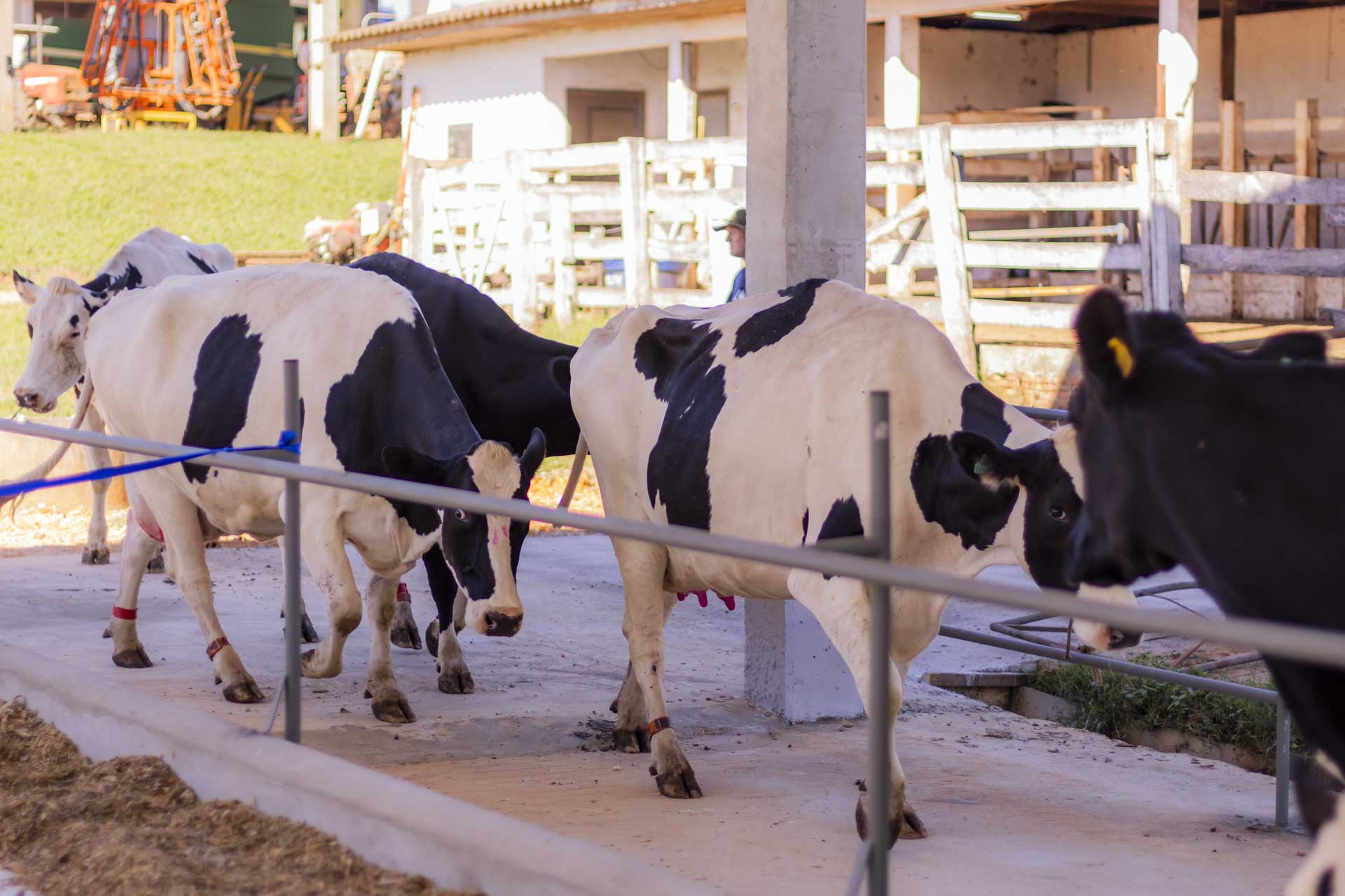 Foto: Reprodução/UEPG