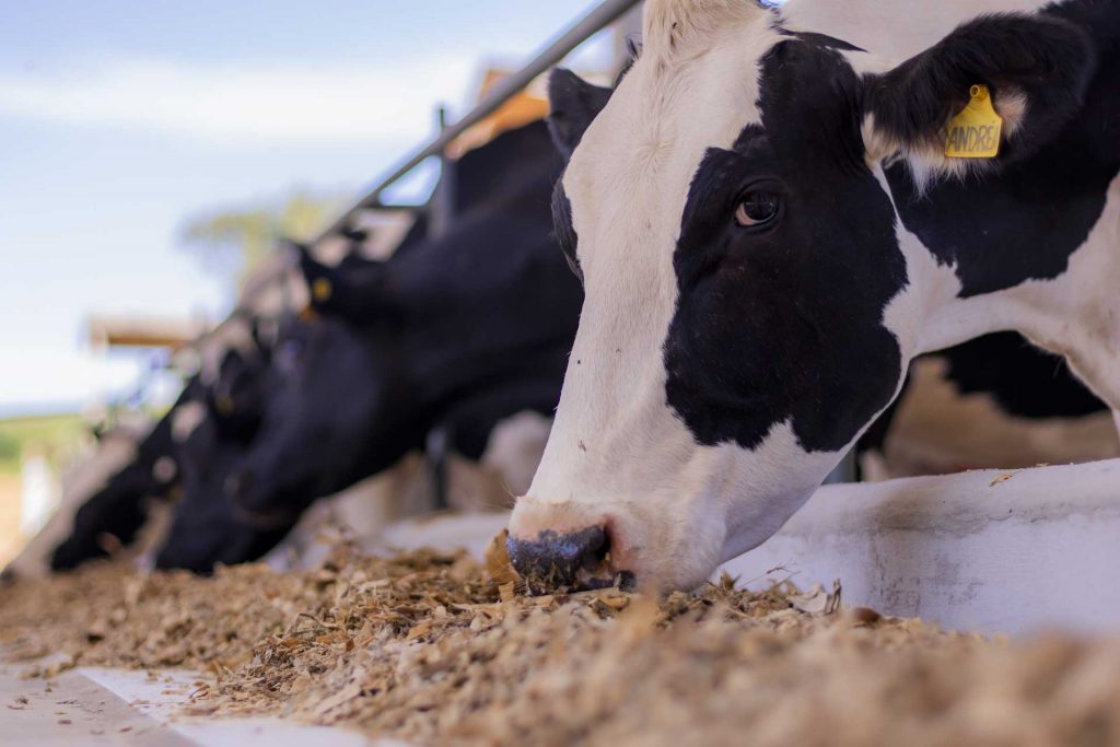 Foto: Reprodução/UEPG