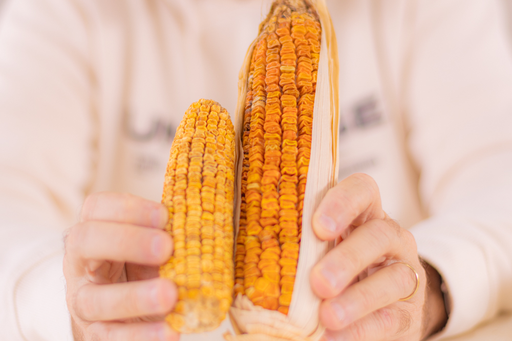 Foto: Reprodução/UEPG