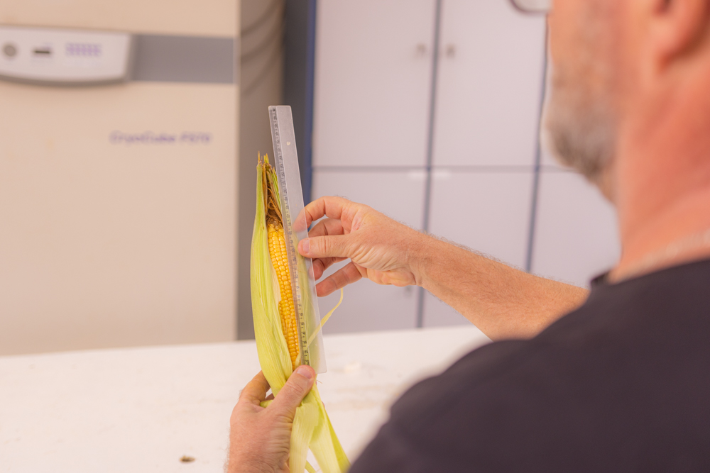 Foto: Reprodução/UEPG