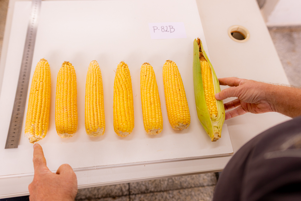 Foto: Reprodução/UEPG