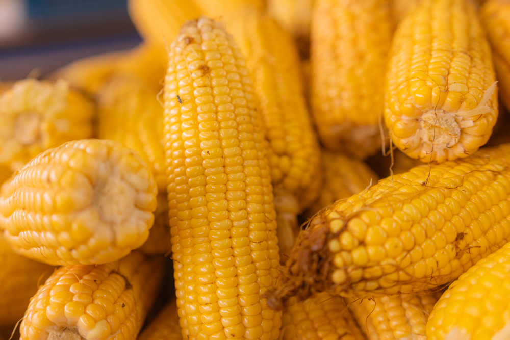 Foto: Reprodução/UEPG