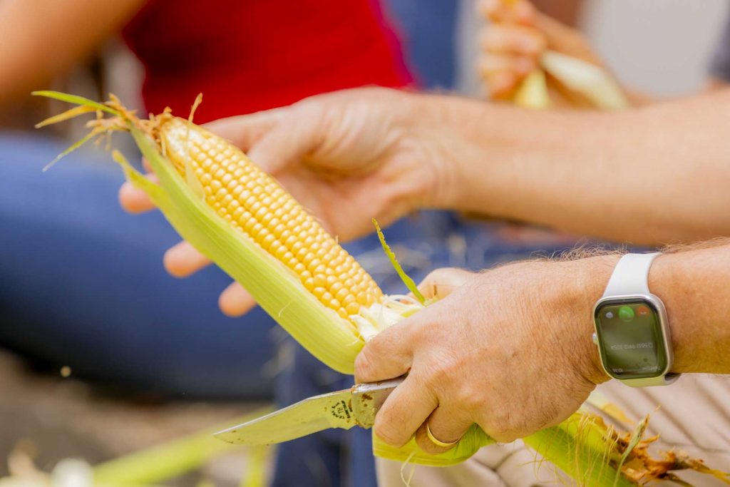 Foto: Reprodução/UEPG