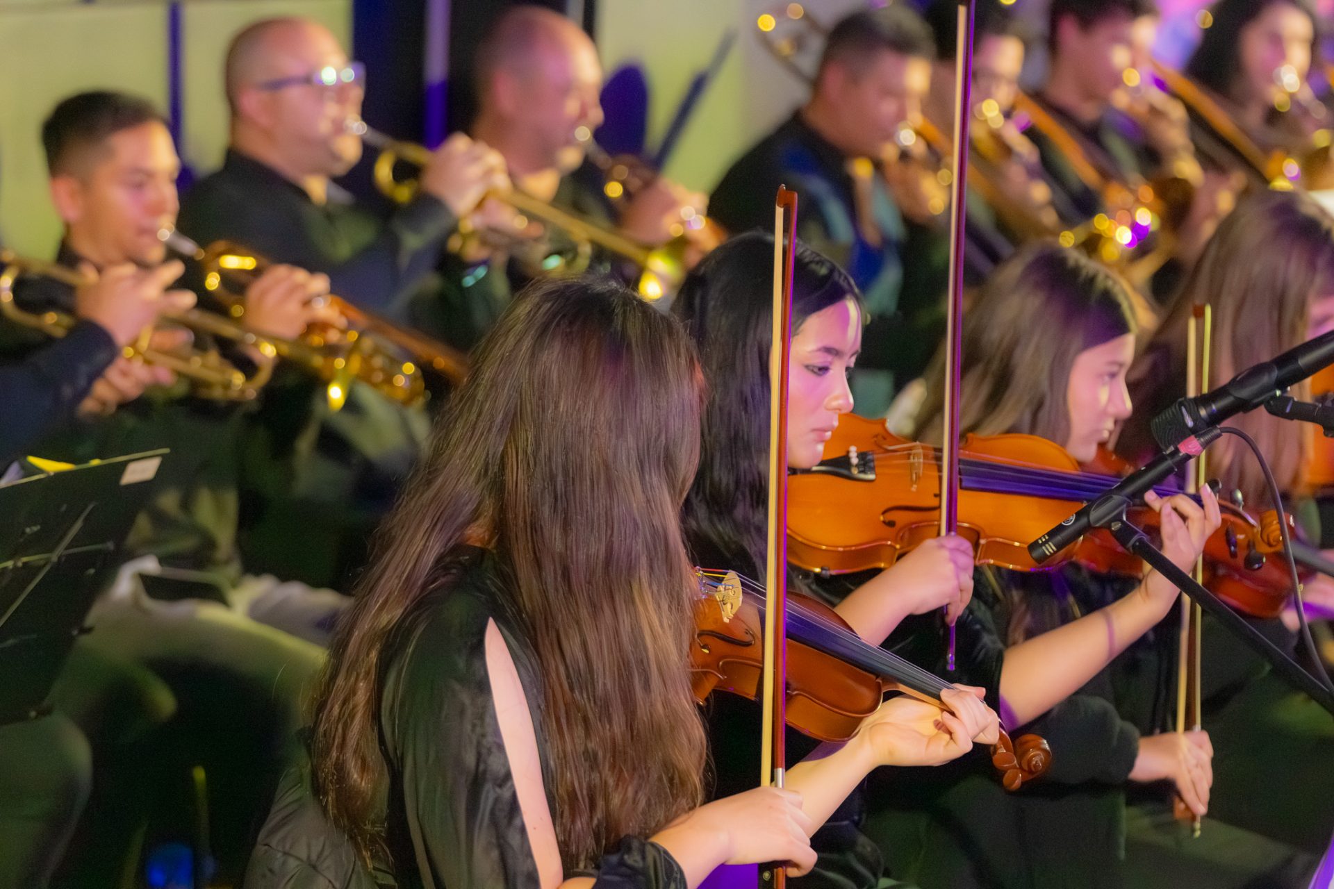 FUC in Concert celebra a história do Festival e inaugura a 38ª edição