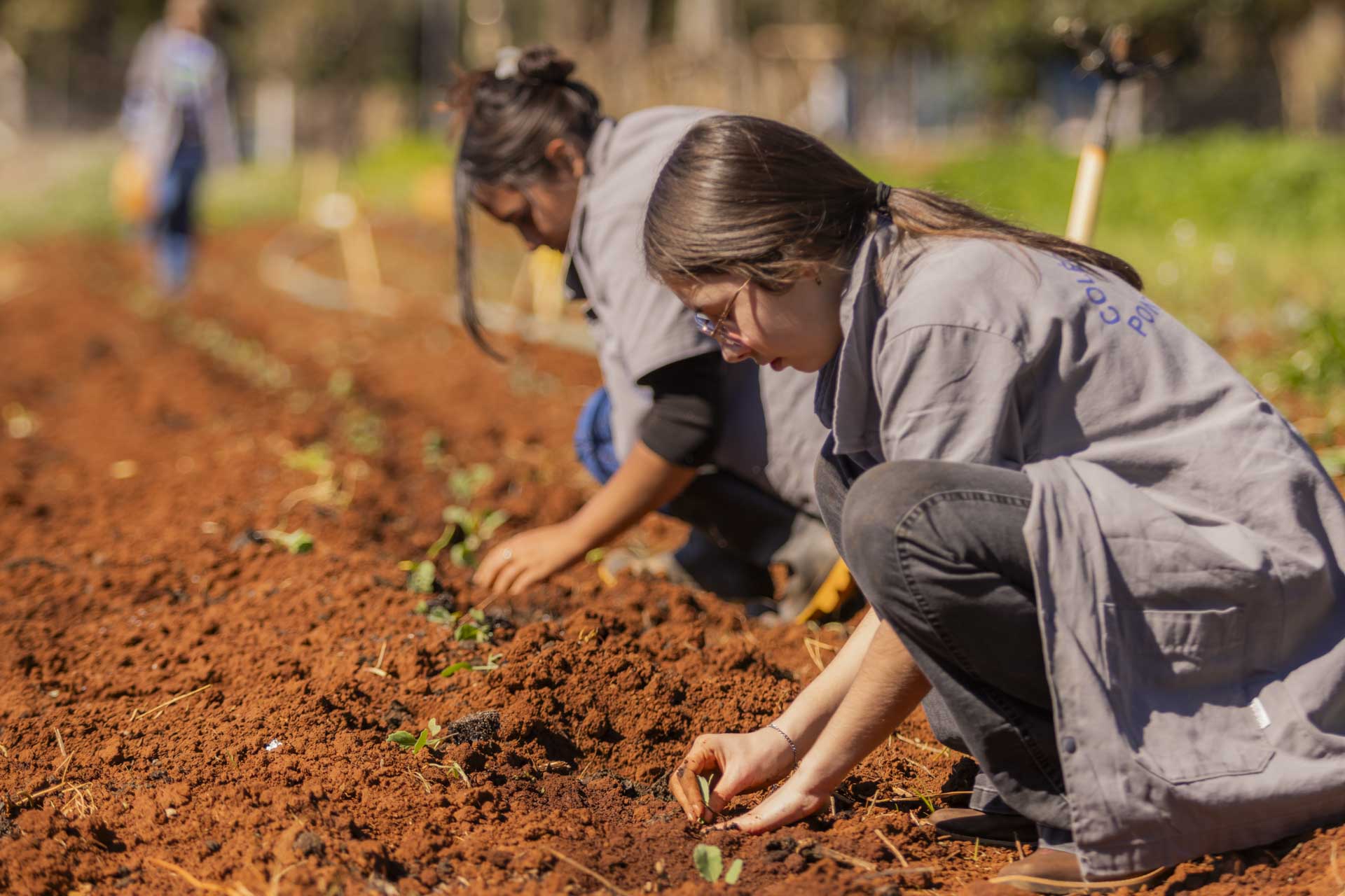 Colégio Agrícola divulga aprovados para ingresso em 2027