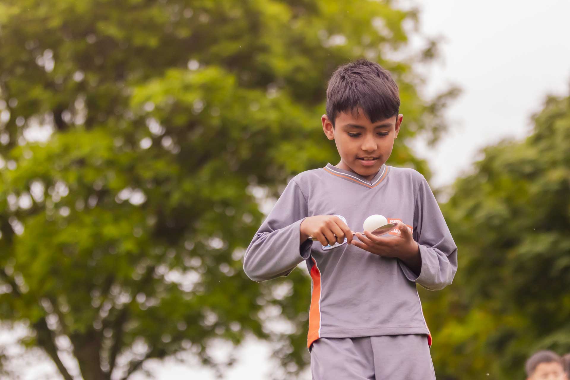Galinhas, ovos e descobertas: Zootecnia recebe alunos de Carambeí em atividade de extensão